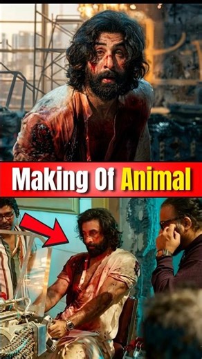 💥Shocking Facts About Animal Movie #youtubeshorts #animal