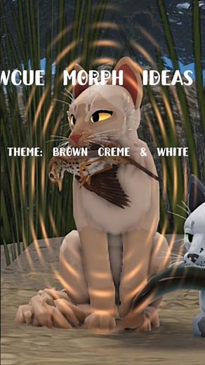WCUE MORPH IDEAS (themes to order)#edit #warriorcats #wcueedit #fyp #ideas #morph