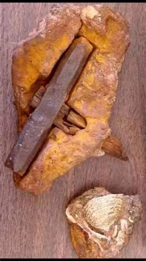 El misterio del MARTILLO EN LA ROCA de más de 100 millones de años!