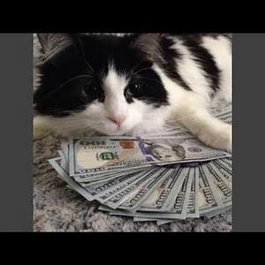 all i want is bands
