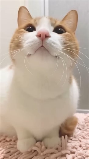 Motivation content | Wanna suggest a name? 👇 Follow @namecalling.daily and Drop a name in the comments and you will be next. #scary #notscaryvideos #funny... | Instagram