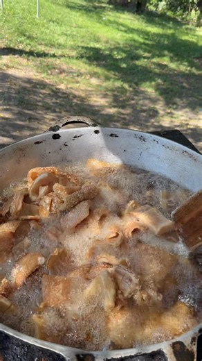 Chicharra por salir en La Chicharronera HN! | Chicharronera 0209 Tocoa, Colon