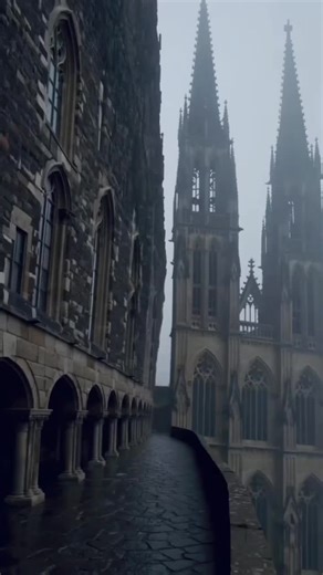 olaf (@olaf.oli0)’s videos with Lost in the Mist - Pulsar