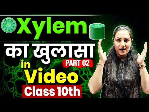 🤩COMPLETE XYLEM in just 15 mins || Biology 10th || Sheeneta Ma'am || PART-2
