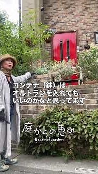 [How to Create a Small Garden] Plants for Your Front Entrance #shorts #gardening #landscaping