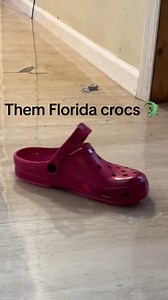 Gotta watch out for those Florida crocs. Credits itschoobie #flood #crocs #florida #hurricane #hurricanedebbie #comedy #funny #humor | LineCrate