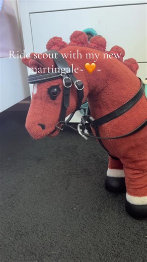 Mini Pony Riding DIY with Lemieux Martingale