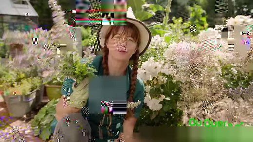 37K views · 749 reactions | Katzenminze schneiden Die Katzenminze liegt nach einem starken Regenguss flach. Damit sich in der Pflanze keine Krankheiten ausbreiten, schneidet Sabrina die Stauden knapp über dem Boden ab. Der Vorteil: eine zweite Blüte im Spätsommer. Mehr im Video: | Querbeet | Facebook