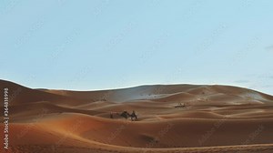 Moroccan bedouin with camels silhouettes in sand dunes of Sahara desert. Caravan in Sahara desert travel tourism background safari adventure. Sahara desert of Morocco, 4k