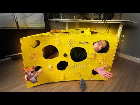 I Got TRAPPED Inside a Cheese Fidgetboard 🧀😵‍💫