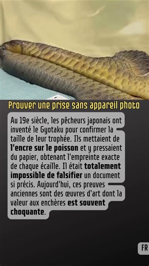 Prouver une prise sans appareil photo #Art #Peche #Tradition