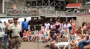 Watch the Extreme Raptors show at Zoom Flume! | Zoom Flume Water Park | Facebook