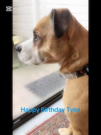 Happy Birthday Tyler