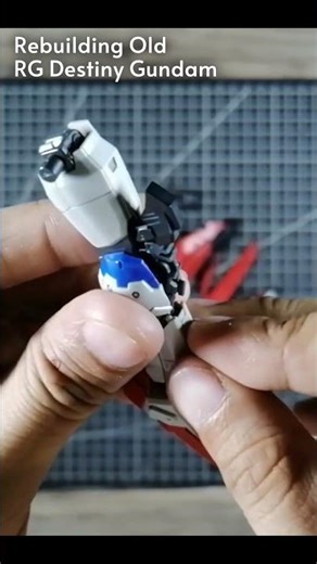 RG 1/144 Destiny Gundam (Re:Build) #gundam #gunpla #gundamseed