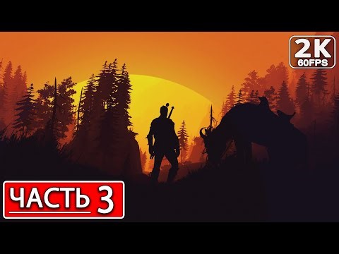 THE WITCHER 3: WILD HUNT Полное Прохождение Часть 9 ВЕДЬМАК 3 ДИКАЯ ОХОТА #shorts