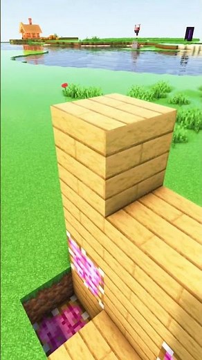 Minecraft Block Swapper 🔥 (Montagem RUGADA) #shorts