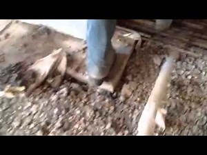 Ball test for basement drain pipe