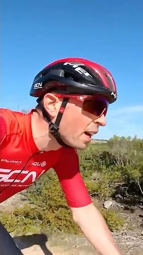 The Recce Of SEA OTTER 🦦