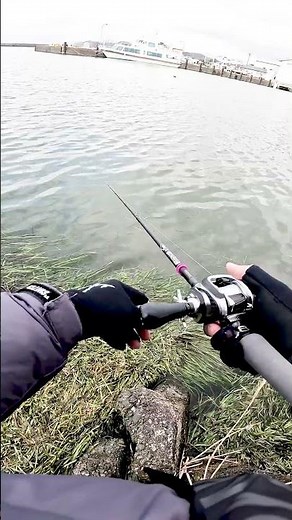 琵琶湖バス釣り バレーヒル新製品 / BSHC 76M/X+ // BSHS74M/H+