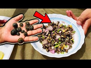 Limpet Mollusk Salad - Simple and Easy Sea Food Making on Beach