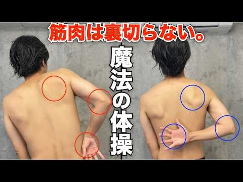 【筋肉は裏切らない】五十肩のロックを外す魔法の体操。