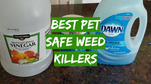 Top 5 Best Pet Safe Weed Killers [January 2026 Review] - Grass Killer
