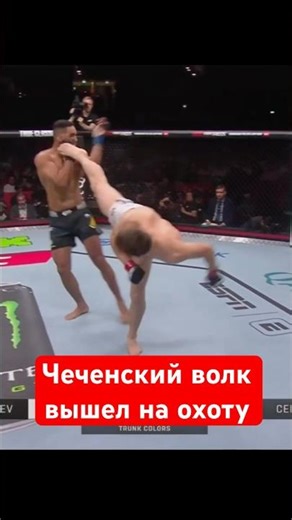 The Chechen wolf will go hunting tonight #ufc #mma #shorts