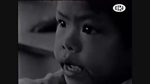 Omega: Naplemente videa letöltés - Stb videó letöltés