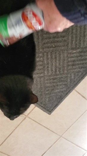 Feb 24, 2026...Barco, NC...First thing every morning I go outside and drink a Boost and when I come in, Raven is waiting for me to give her a rub down with the empty bottle. Lol! | Linda Beedie