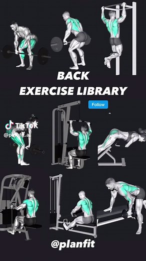 9 Must-Do Back Exercises for Strength & Growth Deadlift: Builds overall back strength by engaging the entire posterior chain.Tip: Keep your back straight and hinge at the hips to avoid lower back strain. Barbell Row: Strengthens the upper back, lats, and rhomboids.Tip: Maintain a flat back and pull the bar towards your lower chest for optimal muscle engagement. Pull-Up: Targets the lats and upper back.Tip: Focus on pulling with your elbows rather than your arms to better engage the lats. Romania
