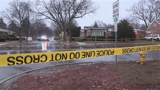 Woman, 65, fatally struck by car in Park Ridge