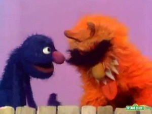 Sesame Street - Grover & Frazzle