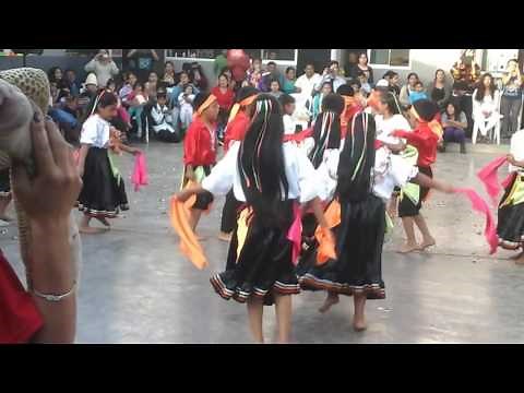 Danza la pandilla de la selva