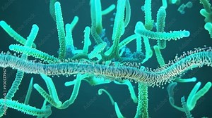 Exploring cellular structures and functions in a microscopic environment