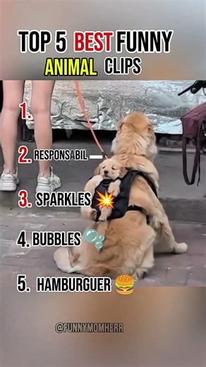 😱 **AMAZING! WHAT THESE ANIMALS DID WILL LEAVE YOU STUNNED 😱**