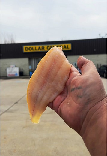 Dollar Store Fish Dinner: Simple Cooking Guide
