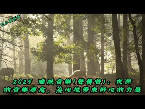 2025 Sleep Music (Oboe): Nighttime musical therapy, bringing soothing power to the mind.