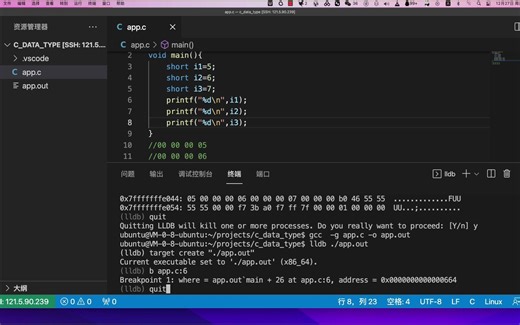 数据类型与编码