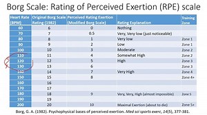 Borg Rating of Perceived Exertion RPE scale Application Example