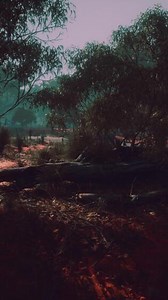 Kimberley region of Western Australia