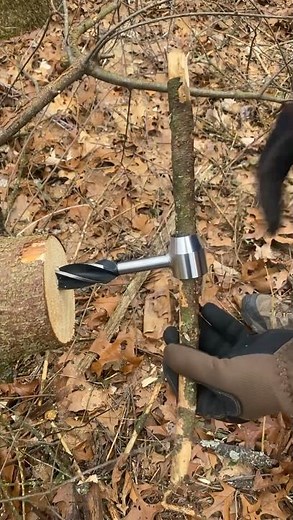 Scotch Eye 👁️ Hand Wood Auger At Work