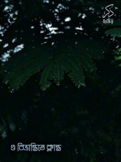 'ইয়া আল্লাহ্, আমাকে গুছিয়ে দাও' | যিকির - ذكر