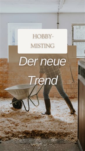 Pferdehof Weddingfeld on Instagram: "Hobby-Misting – unser neuer Lieblingstrend 🧹😂 Wir haben vollstes Verständnis für alle Hobbys da draußen – ob Hobby-Horsing, Hobby-Dogging oder was auch immer euch Spaß macht! Jeder darf sein Ding lieben ❤️ Aber bei uns im Stall haben wir einfach unfassbar viel Spaß zusammen, kommen auf die verrücktesten Ideen und sind auch ziemlich spontan 😄 Deswegen dachten wir uns: Warum nicht auch mal ein Video zum Hobby-Misting machen? Wer weiß – vielleicht wird das ja