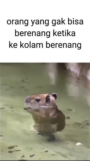 Bener G Nih 🗿