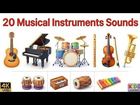 20 Musical Instruments Sounds for Kids | Learn Instruments Sound | English Hindi | 3D Animation