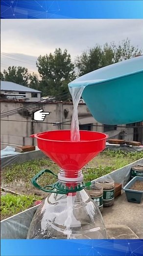 how to make organic fertilizer #fertilizer #shorts #short