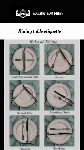 Day 21 Follow for more #selfimprovement #motivation #discipline #success #dinner #fyp