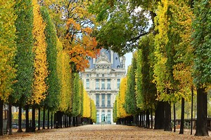 Jardim de Tuileries: conheça um dos mais belos jardins de Paris
