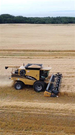 Wheat Harvest Nova Scotia Canada Challenger 670 Combine #farming #agriculture #canadian #wheatharvest2023 #agcochallenger #thankafarmer #farmingannapolisvalley #novascotia #canada🇨🇦
