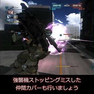 Jesta [Shezarr Squad Specification B] (Lv2) Basic Movement Demonstration Gold Badge Acquisition T...